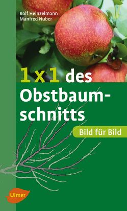 1 x 1 des Obstbaumschnitts von Heinzelmann,  Rolf, Nuber,  Manfred