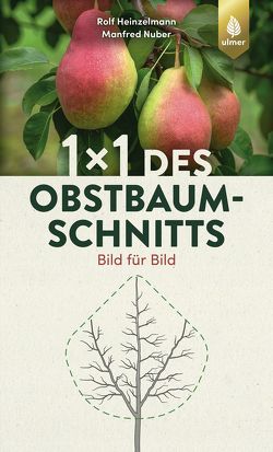 1 x 1 des Obstbaumschnitts von Heinzelmann,  Rolf, Nuber,  Manfred