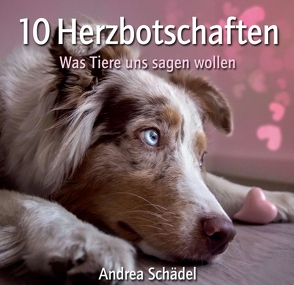 10 Herzbotschaften von Schädel,  Andrea