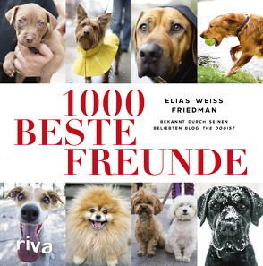 1000 beste Freunde von Friedman,  Elias Weiss