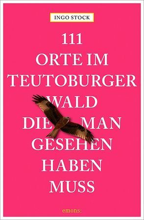 111 Orte im Teutoburger Wald, die man gesehen haben muss von Stock,  Ingo