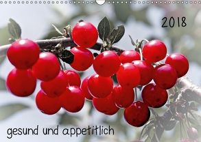 2018 gesund und appetitlich (Wandkalender 2018 DIN A3 quer) von Möller,  Michael