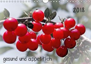 2018 gesund und appetitlich (Wandkalender 2018 DIN A4 quer) von Möller,  Michael