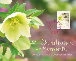 24 Christrosen-Momente von Nusser-Lampe,  Elsbeth