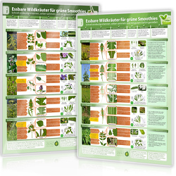 [2er Set] Essbare Wildkräuter für Grüne Smoothies (DINA4) Erkennungskarten Teil 1 und Teil 2 (2023) von Cremer,  Samuel, www.futurepacemedia.de, Zenz (Der Seelengärtner),  Alfred