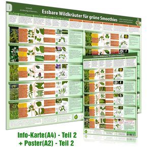 [2er Set] Essbare Wildkräuter für Grüne Smoothies Poster (DINA2) und Erkennungskarte (DINA4) Teil 2 (2023) von Cremer,  Samuel, www.futurepacemedia.de, Zenz (Der Seelengärtner),  Alfred