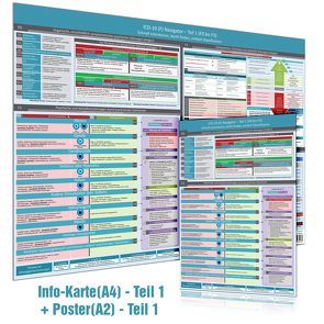 [2er Set] ICD-10 – Teil 1 (F0 bis F3): Wissenskarte (DINA4) + Wandposter (DINA2) – Ideal zur Prüfungsvorbereitung für Heilpraktiker Psychotherapie (2023) von Cremer,  Samuel, Schumacher,  Christian, www.futurepacemedia.de