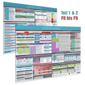 [2er Set] ICD-10 (F) Navigator Wandposter (2023) – Ideal zur Prüfungsvorbereitung für Heilpraktiker Psychotherapie (PSY) – Teil 1 & 2 (F0 bis F9): von Cremer,  Samuel, Schumacher,  Christian, www.futurepacemedia.de