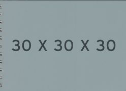 30 x 30 x 30 von Fehlhaber,  Jörg M, Gatermann,  Harald, Lose,  Jürgen, Rogall,  Armin D