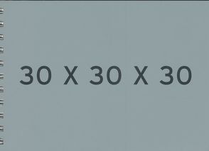 30 x 30 x 30 von Fehlhaber,  Jörg M, Gatermann,  Harald, Lose,  Jürgen, Rogall,  Armin D