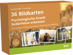 36 Bildkarten Psychologische Grundbedürfnisse erkennen von Diller,  Sandra, Jonas,  Eva