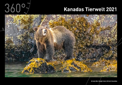 360° Kanadas Tierwelt Premiumkalender 2021 von Voll,  Ed