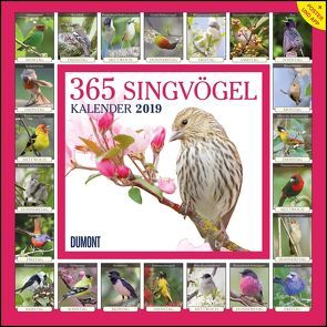 365 Singvögel 2019 – Broschürenkalender – Wandkalender – mit Poster und Sound-App – Format 30 x 30 cm von DUMONT Kalenderverlag