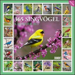 365 Singvögel 2021 – Broschürenkalender – Wandkalender – mit Poster – Format 30 x 30 cm