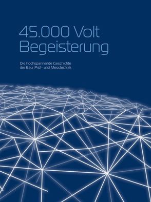 45.000 Volt Begeisterung von Angerer,  Johannes, Baur,  Martin, Baur,  Valentine