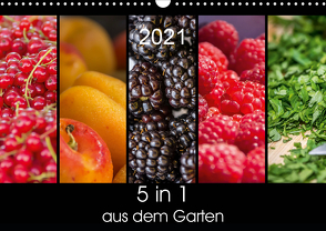 5 in 1 – aus dem Garten (Wandkalender 2021 DIN A3 quer) von Neuner,  Harald, Neuner-Gyß,  Petra