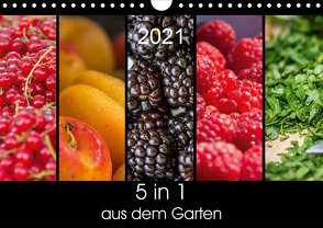 5 in 1 – aus dem Garten (Wandkalender 2021 DIN A4 quer) von Neuner,  Harald, Neuner-Gyß,  Petra