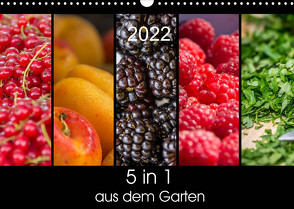 5 in 1 – aus dem Garten (Wandkalender 2022 DIN A3 quer) von Neuner,  Harald, Neuner-Gyß,  Petra