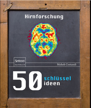 50 Schlüsselideen Hirnforschung von Costandi,  Moheb, Niehaus-Osterloh,  Monika