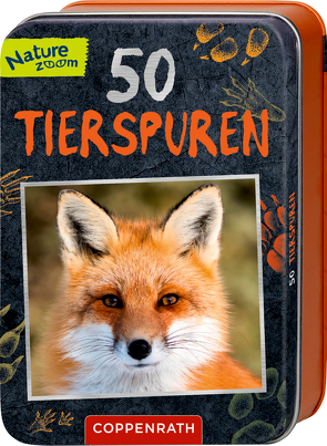 50 Tierspuren von Labuch,  Kristin, Wernsing,  Barbara