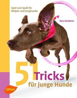 51 Tricks für junge Hunde von Sundance,  Kyra