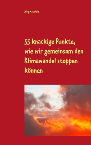 55 knackige Punkte, wie wir gemeinsam den Klimawandel stoppen können von Matthée,  Jörg