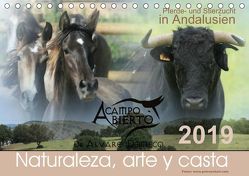 A CAMPO ABIERTO: Pferde- und Stierzucht in Andalusien (Tischkalender 2019 DIN A5 quer) von Eckerl Tierfotografie,  Petra