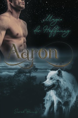 Aaron – Magie der Hoffnung von Baines,  Sarah