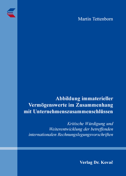 Abbildung immaterieller Vermögenswerte im Zusammenhang mit Unternehmenszusammenschlüssen von Tettenborn,  Martin