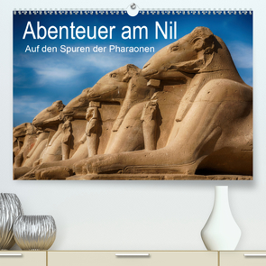 Abenteuer am Nil. Auf den Spuren der Pharaonen (Premium, hochwertiger DIN A2 Wandkalender 2021, Kunstdruck in Hochglanz) von Wenske,  Steffen