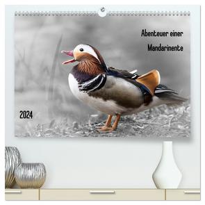 Abenteuer einer Mandarinente (hochwertiger Premium Wandkalender 2024 DIN A2 quer), Kunstdruck in Hochglanz von LaPics,  LaPics