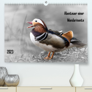 Abenteuer einer Mandarinente (Premium, hochwertiger DIN A2 Wandkalender 2023, Kunstdruck in Hochglanz) von LaPics