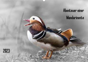 Abenteuer einer Mandarinente (Wandkalender 2023 DIN A2 quer) von LaPics