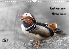 Abenteuer einer Mandarinente (Wandkalender 2023 DIN A4 quer) von LaPics