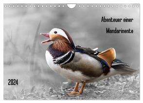 Abenteuer einer Mandarinente (Wandkalender 2024 DIN A4 quer), CALVENDO Monatskalender von LaPics,  LaPics