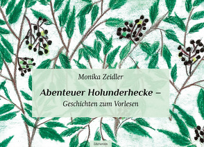 Abenteuer Holunderhecke – Geschichten zum Vorlesen von Zeidler,  Monika