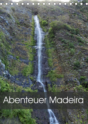 Abenteuer Madeira (Tischkalender 2023 DIN A5 hoch) von Janusz,  Fryc