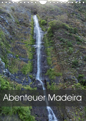 Abenteuer Madeira (Wandkalender 2023 DIN A4 hoch) von Janusz,  Fryc