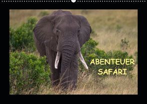 Abenteuer Safari (Wandkalender 2019 DIN A2 quer) von Pieta,  Harald