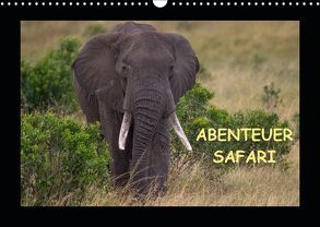 Abenteuer Safari (Wandkalender 2019 DIN A3 quer) von Pieta,  Harald