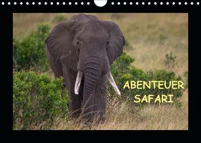 Abenteuer Safari (Wandkalender 2019 DIN A4 quer) von Pieta,  Harald