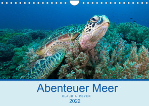 Abenteuer Unterwasser (Wandkalender 2022 DIN A4 quer) von Peyer,  Claudia