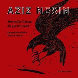 Aber meine Träume, die gib mir zurück (Türkisch–Deutsch) von Liebe-Harkort,  Klaus, Nesin,  Aziz, Pazarkaya,  Yüksel, Poroy,  Semih