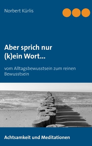 Aber sprich nur (k)ein Wort… von Kürlis,  Norbert