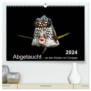 Abgetaucht – an den Küsten vor Curaçao (hochwertiger Premium Wandkalender 2024 DIN A2 quer), Kunstdruck in Hochglanz von - Yvonne & Tilo Kühnast,  naturepics