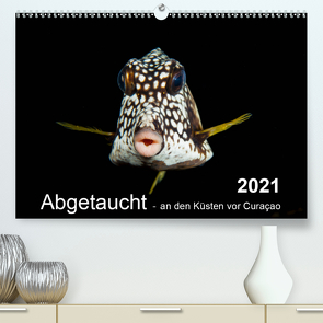 Abgetaucht – an den Küsten vor Curaçao (Premium, hochwertiger DIN A2 Wandkalender 2021, Kunstdruck in Hochglanz) von - Yvonne & Tilo Kühnast,  naturepics