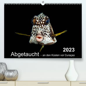 Abgetaucht – an den Küsten vor Curaçao (Premium, hochwertiger DIN A2 Wandkalender 2023, Kunstdruck in Hochglanz) von - Yvonne & Tilo Kühnast,  naturepics