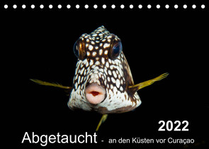 Abgetaucht – an den Küsten vor Curaçao (Tischkalender 2022 DIN A5 quer) von - Yvonne & Tilo Kühnast,  naturepics