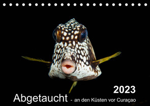 Abgetaucht – an den Küsten vor Curaçao (Tischkalender 2023 DIN A5 quer) von - Yvonne & Tilo Kühnast,  naturepics