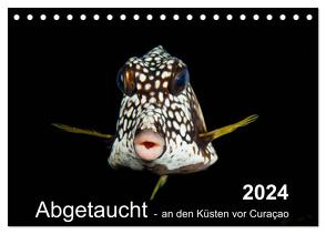 Abgetaucht – an den Küsten vor Curaçao (Tischkalender 2024 DIN A5 quer), CALVENDO Monatskalender von - Yvonne & Tilo Kühnast,  naturepics